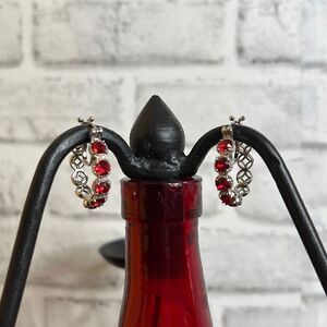 NWT Red Austrian Crystal Hoop Earrings Stainless Steel